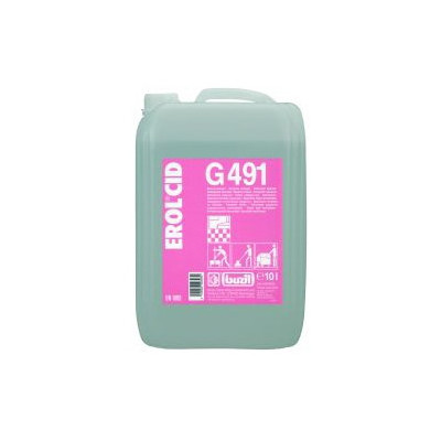 G 491 (EROLCID)